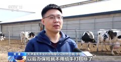 <b>“牛脸识别”帮力农业安全 财产成长无效</b>